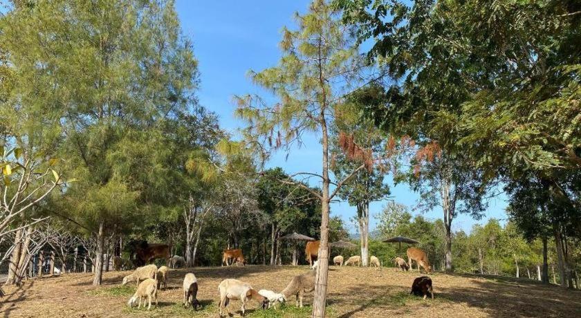 Hotel Ruean Racha Chiang Mai Zewnętrze zdjęcie